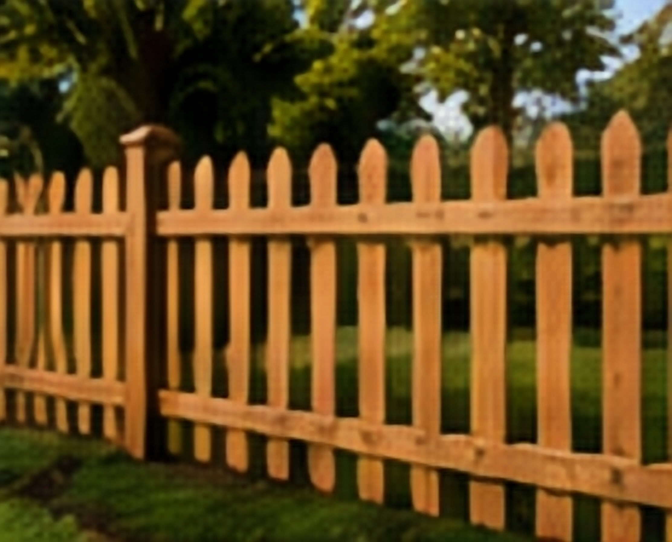 Wood Fence