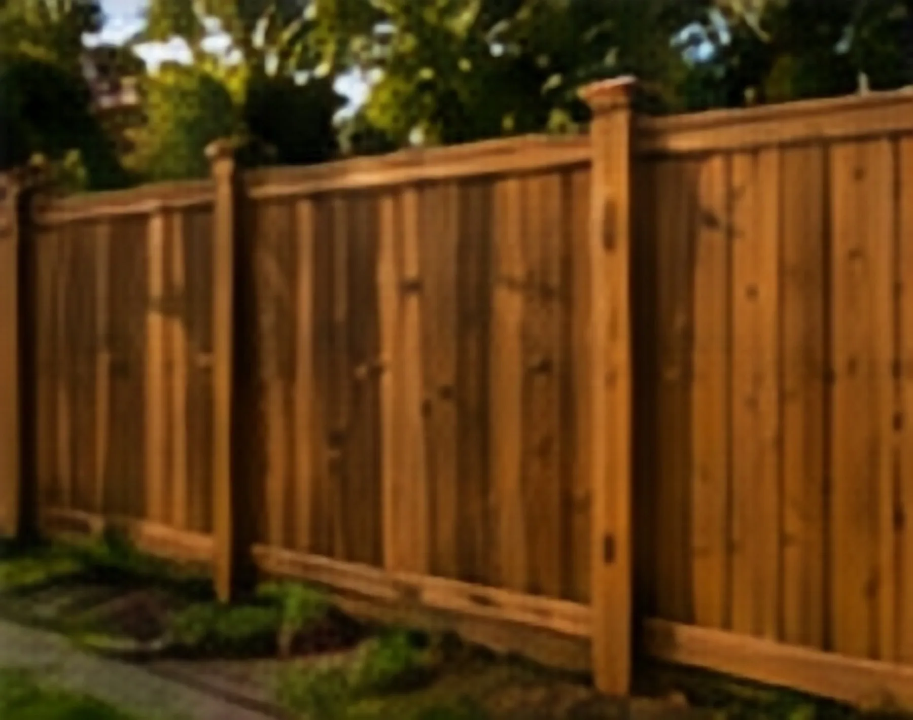 Privacy Fence